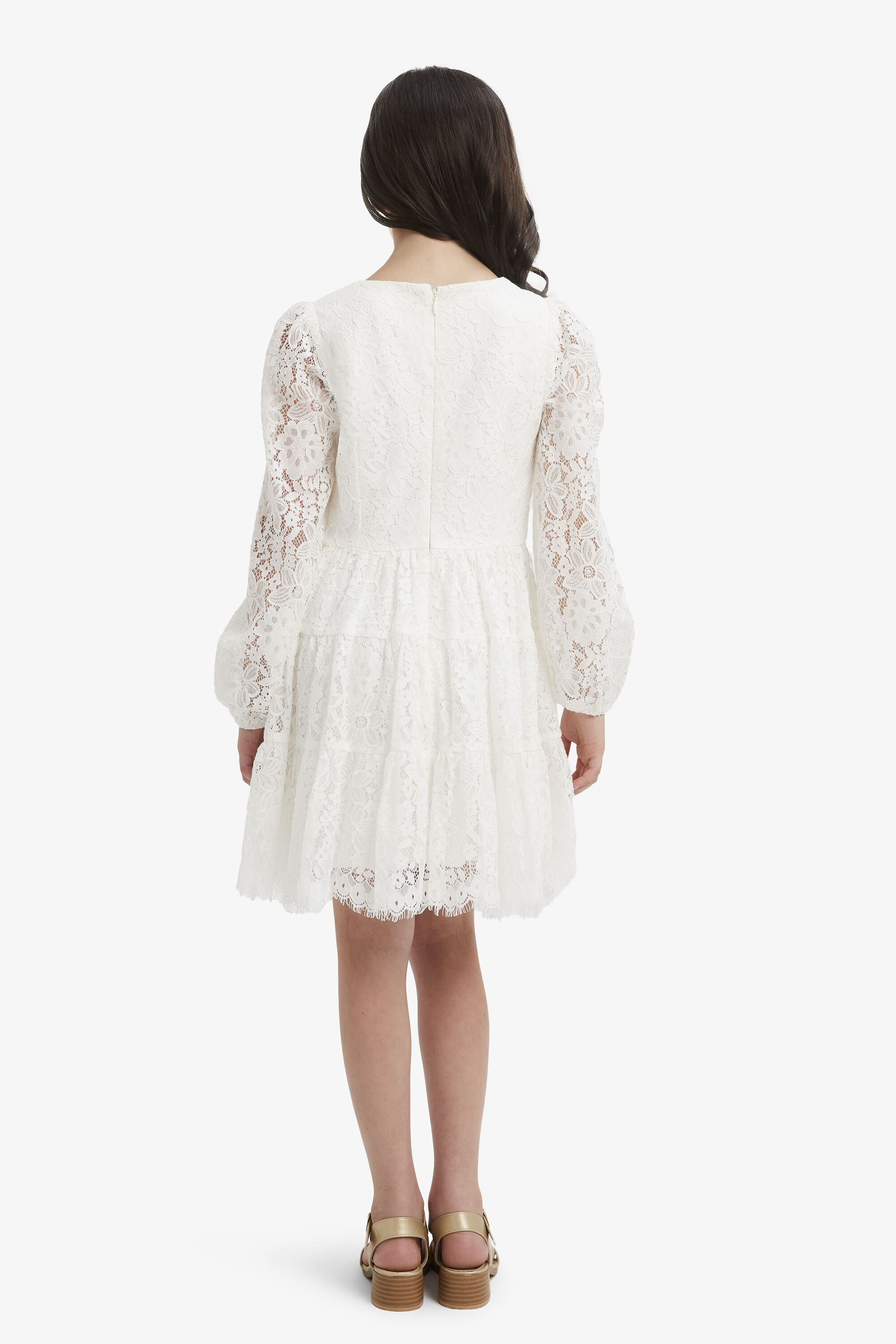 Bardot sienna lace cocktail hot sale dress