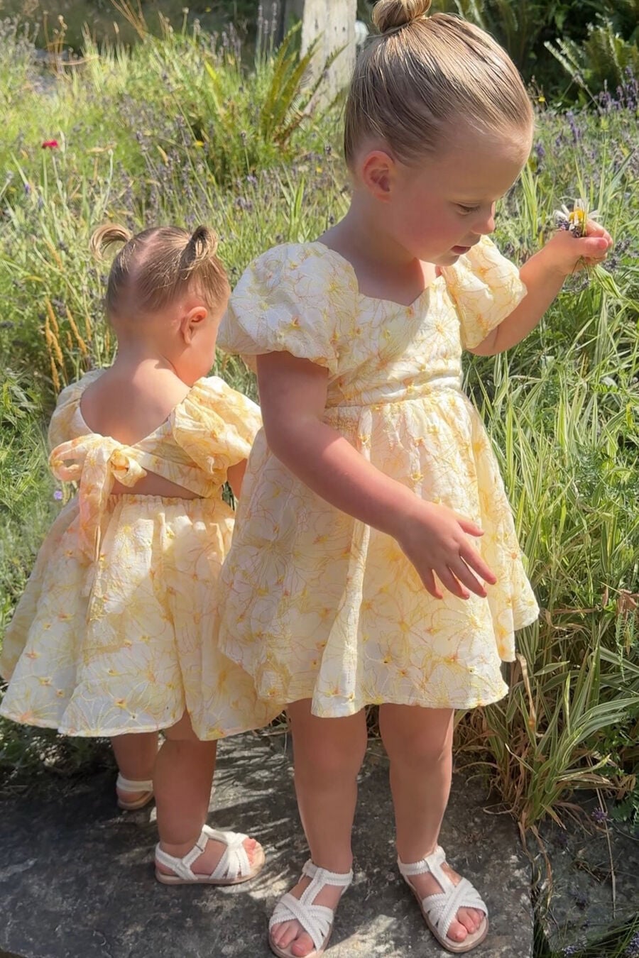 Baby Girl Adaline Embroidered Dress