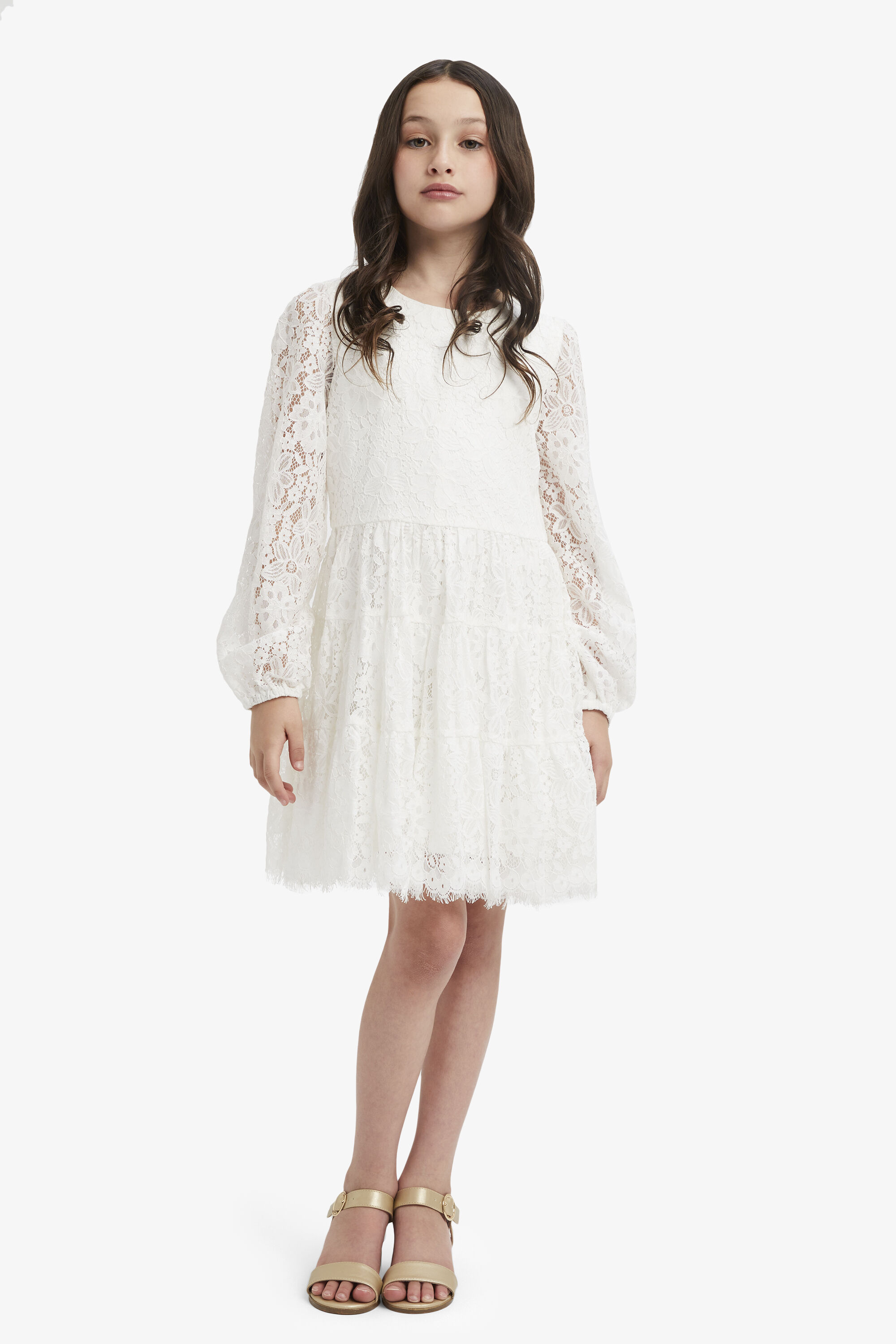 Bardot sienna lace dress clearance