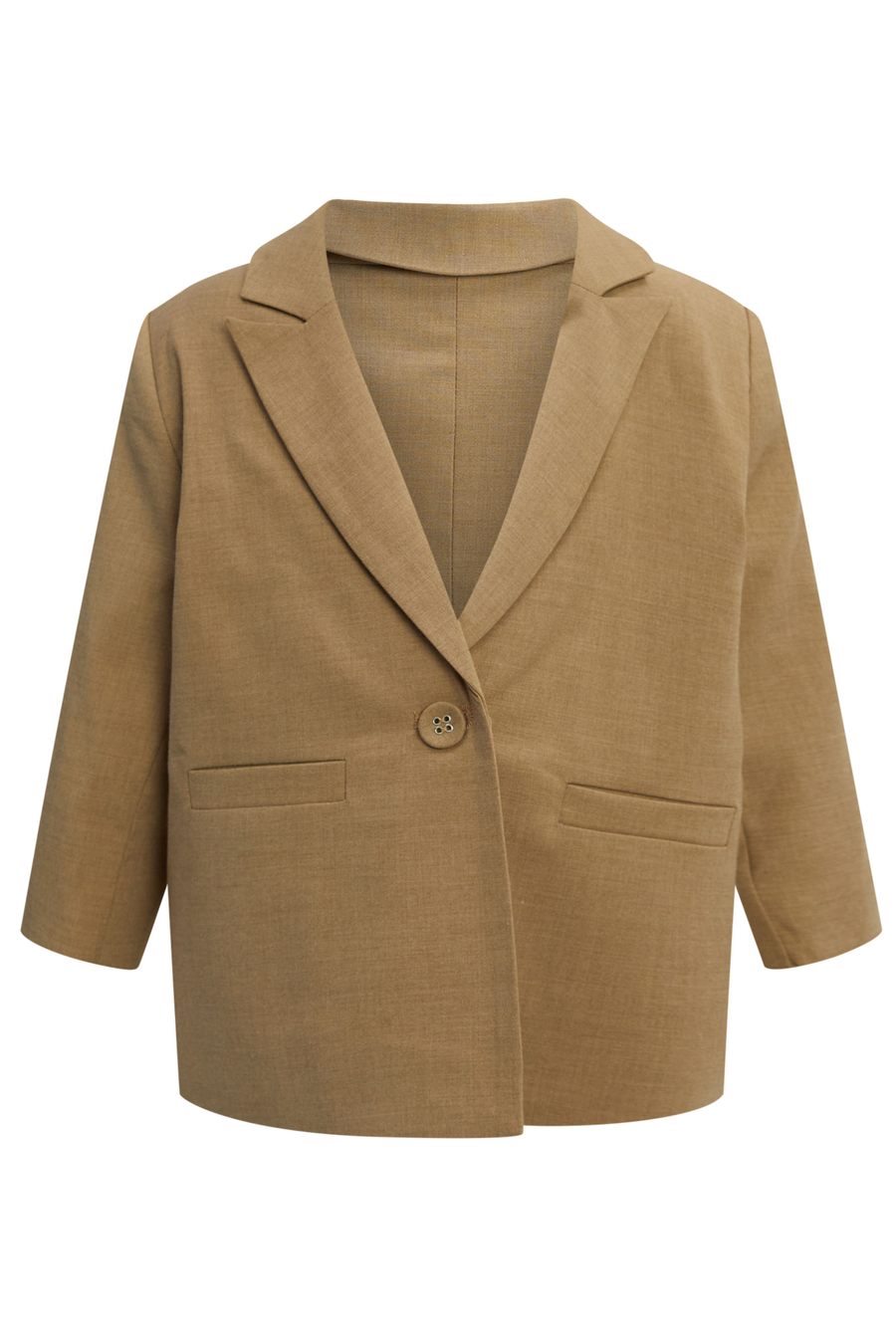 CHARLES BLAZER in colour SAND