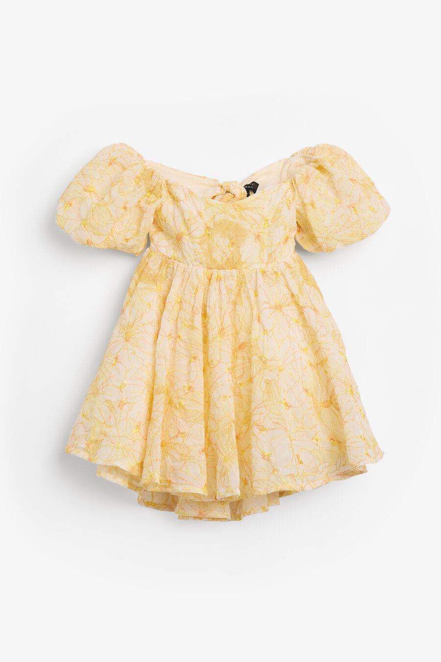 Baby Adaline Embroidered Mini Dress