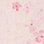 PINK FLORA
