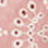 BLUSH PINK
